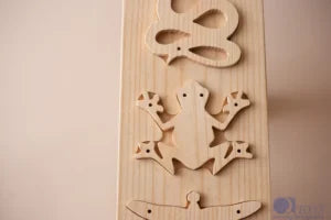 QToys Australia (USA) Food Chain Lacing Set